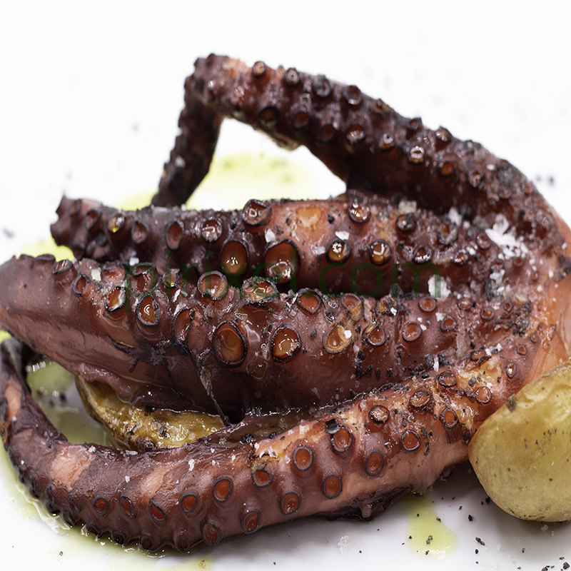 GRILLED OCTOPUS